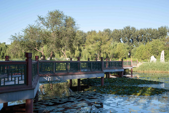 北京<strong>圆明园</strong>公园都市风景白昼氛围照片