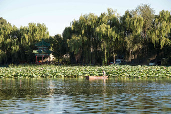 北京圆明园公园园林