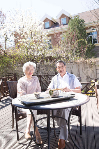 老年夫妇在庭院喝茶日光高清图片