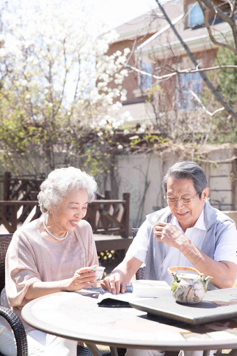 老年夫妇在庭院喝茶休闲活动清晰照片