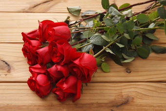 玫瑰花静物摄影自然美高清素材