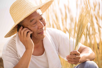 老农民在农田里打电话农业氛围场景