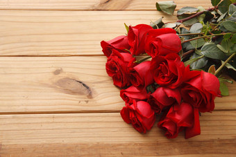 玫瑰花自然高雅摄影图