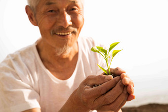 老农民手捧小苗老年男人氛围<strong>摄影</strong>图