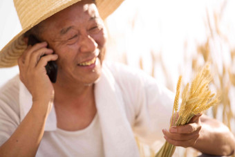 老农民在农田里打电话中国高清素材