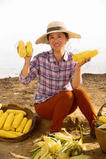 中年女人拿着玉米丰收高端照片