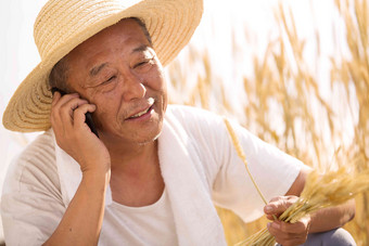 老农民在农田里打电话农民高质量摄影