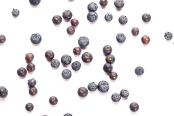 蓝莓美食高清素材