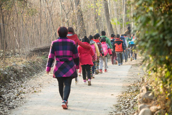 乡村女教师和学生户外活动树林高质量摄影
