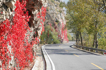 北京郊区的公路植物<strong>高端场景</strong>