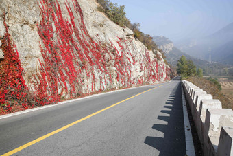 北京郊区的公路爬山虎清晰摄影