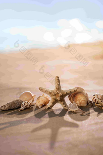 沙滩静物贝壳中国休闲活动高清相片