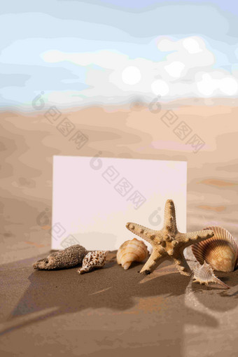 沙滩静物海螺中国