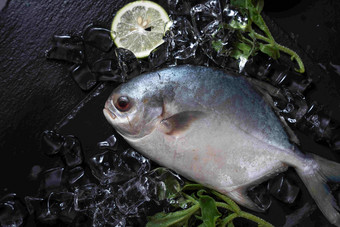 鱼水平构图饮食文化清晰摄影