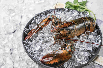 龙虾东方海产品食物状态高清镜头