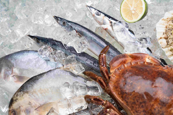 海鲜秋刀鱼鱼类中华美食摄影