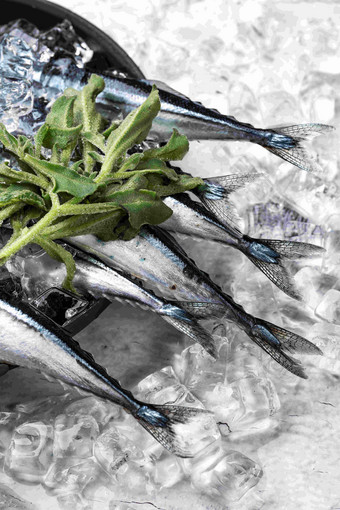 秋刀鱼海鲜彩色图片食物状态写实素材