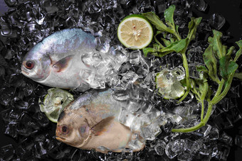 鱼中国鱼类柠檬片高端拍摄