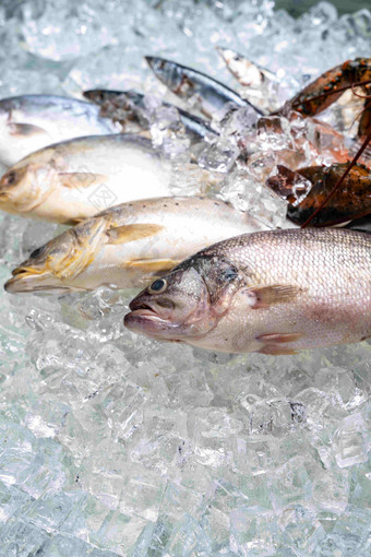 海鲜黄花鱼少量物体冰块清晰镜头