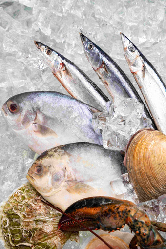 海鲜动物海产品中华美食写实摄影图