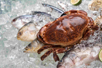 海鲜螃蟹彩色图片甲壳动物