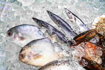 海鲜秋刀鱼东方水平构图高清镜头