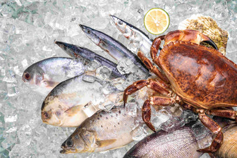 海鲜秋刀鱼饮食蟹高清素材