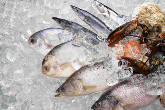 海鲜鱼餐饮食物状态