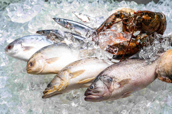 海鲜食品中国饮食产业