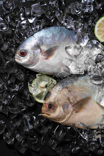 鱼动物垂直构图健康食品清晰场景