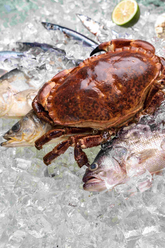 海鲜新鲜膳食高质量镜头