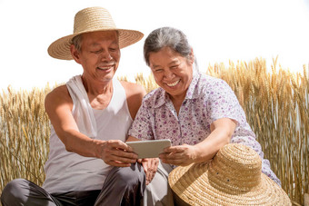 老年夫妇在<strong>麦田</strong>