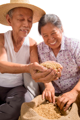 老年夫妇捧着稻谷