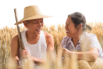 老年夫妇在<strong>麦田</strong>