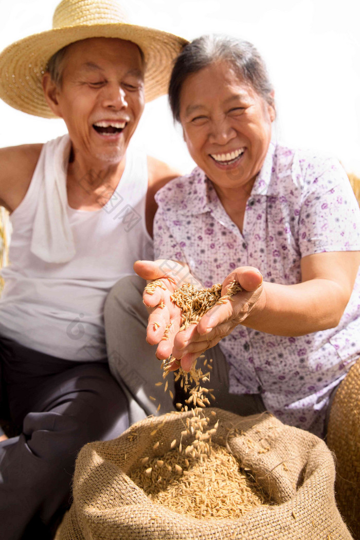 老年夫妇捧着稻谷麻袋高端图片