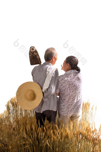 老年夫妇麦田小麦白昼新农村写实相片