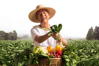菜农拿着蔬菜人氛围摄影图