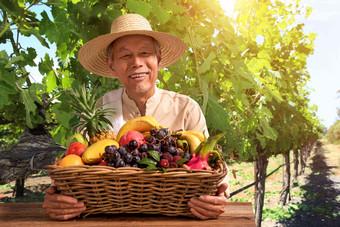 老农民出示自家水果果园高端摄影图