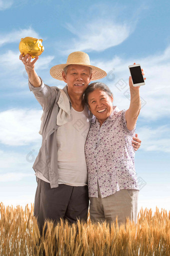 老年夫妇麦田理财农作物健康食物高端图片