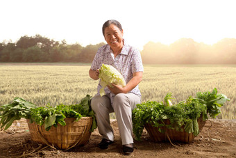 菜农拿着大白菜