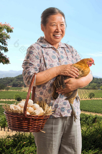 农民拿着<strong>鸡</strong>蛋和母<strong>鸡</strong>