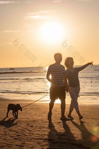 老年夫妇带着宠物狗在海边散步夏天相片