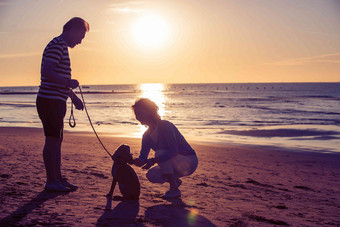 老年夫妇带着宠物狗在海边玩耍