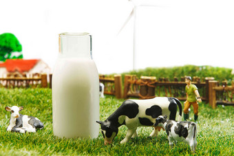 牛奶牧场概念动物环境保护高端影相