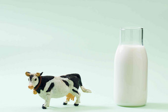 牛奶奶牛静物动物营养写实拍摄