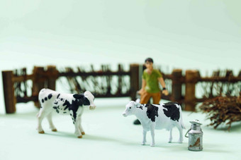 奶牛人体模型清晰摄影图