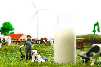 牛奶牧场放牧饮食纯净高质量拍摄