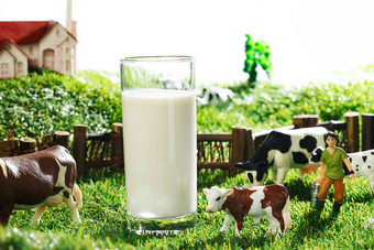 牛奶牧场放牧玻璃杯宁静写实拍摄