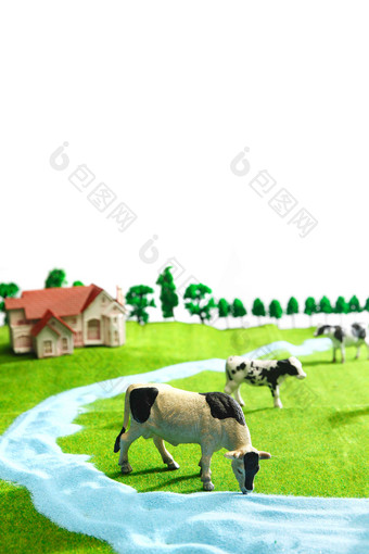 奶牛牧场自然垂直构图写实照片
