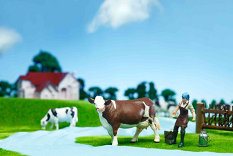奶牛牧场概念彩色图片宁静写实影相